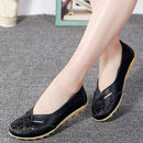 Sapatilha Anatômica BellaFlex